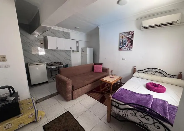 The Cozy In Hadaba *